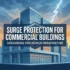 Why Businesses Should Invest in Surge Protection for Their Internet Cables
